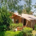 Camp & - La Caravella