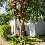 Camp & - La Caravella *