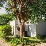 Camp & - La Caravella *