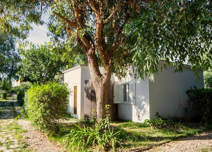 Camp & - La Caravella *